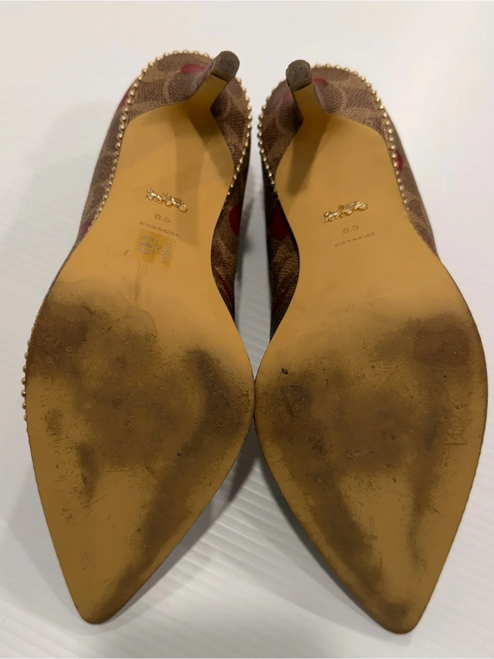 Coach Women's Waverly Heart-Print Pumps